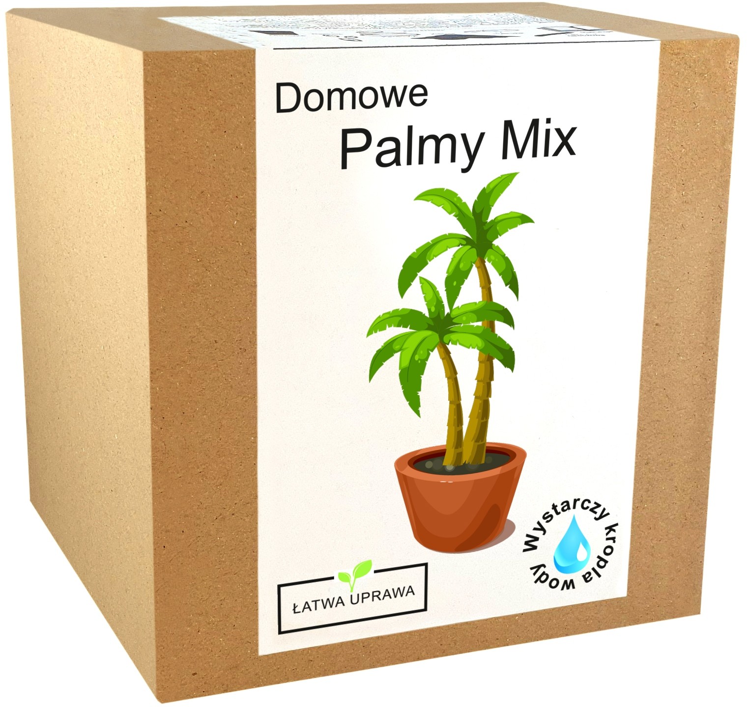 Zestaw do uprawy Palm nasiona palmy MIX egoztyczne