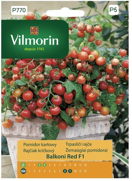 Vilmorin Nasiona pomidor Balconi Red