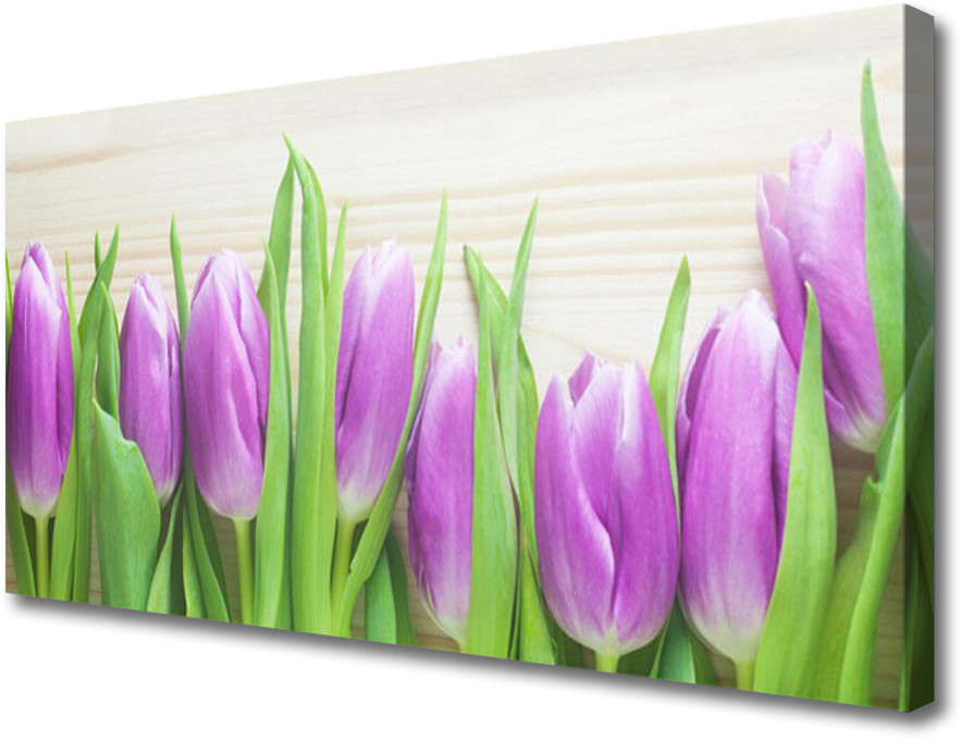 PL Tulup Obraz Canvas Tulipany Kwiaty Natura 100x50cm