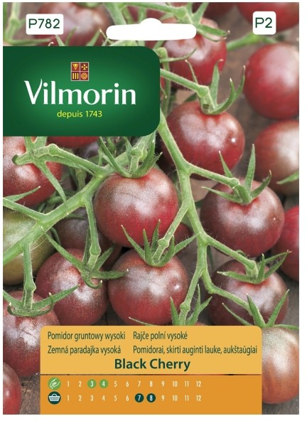 Vilmorin Nasiona pomidor wysoki Black Cherry