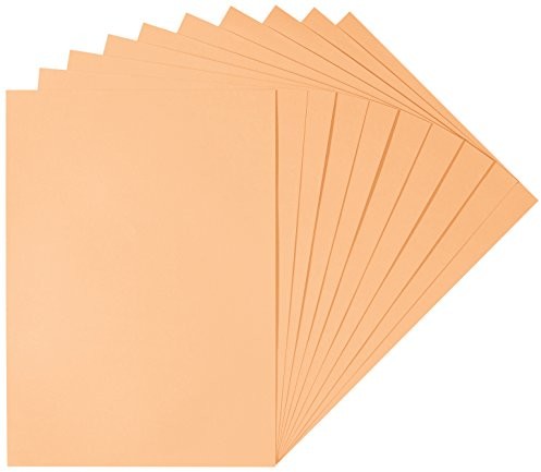 Herlitz 227108, blok rysunkowy 50 x 70 cm, 10 sztuk, białe, morela 227280