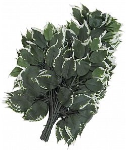 Europalms EUROPALMS Ficus spray, sztuczne liście, 12x 82506100