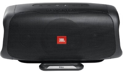 JBL Bass Pro Go