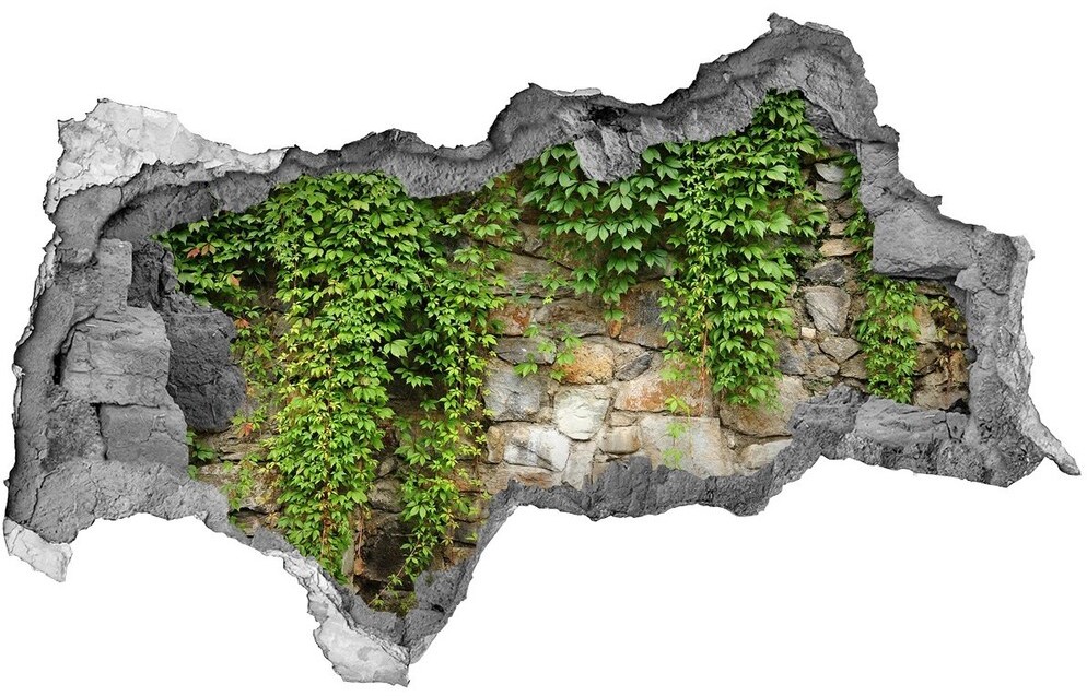 Wallmuralia.pl Samoprzylepna dziura naklejka Zielony bluszcz