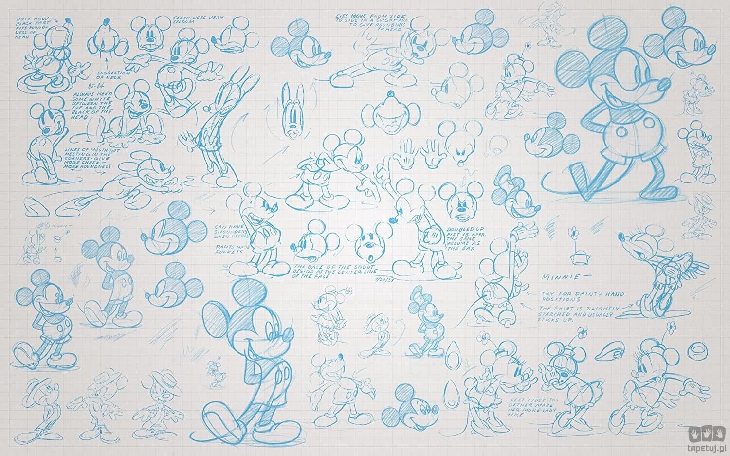 Komar Fototapeta Mickey Sketches 048-DVD4 048-DVD4