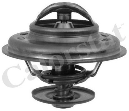 CALORSTAT Termostat, środek chłodzący CALORSTAT TH5111.80J