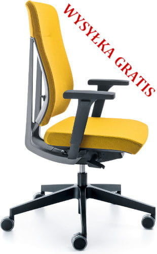 ProfiM Fotel ergonomiczny Xenon X 10