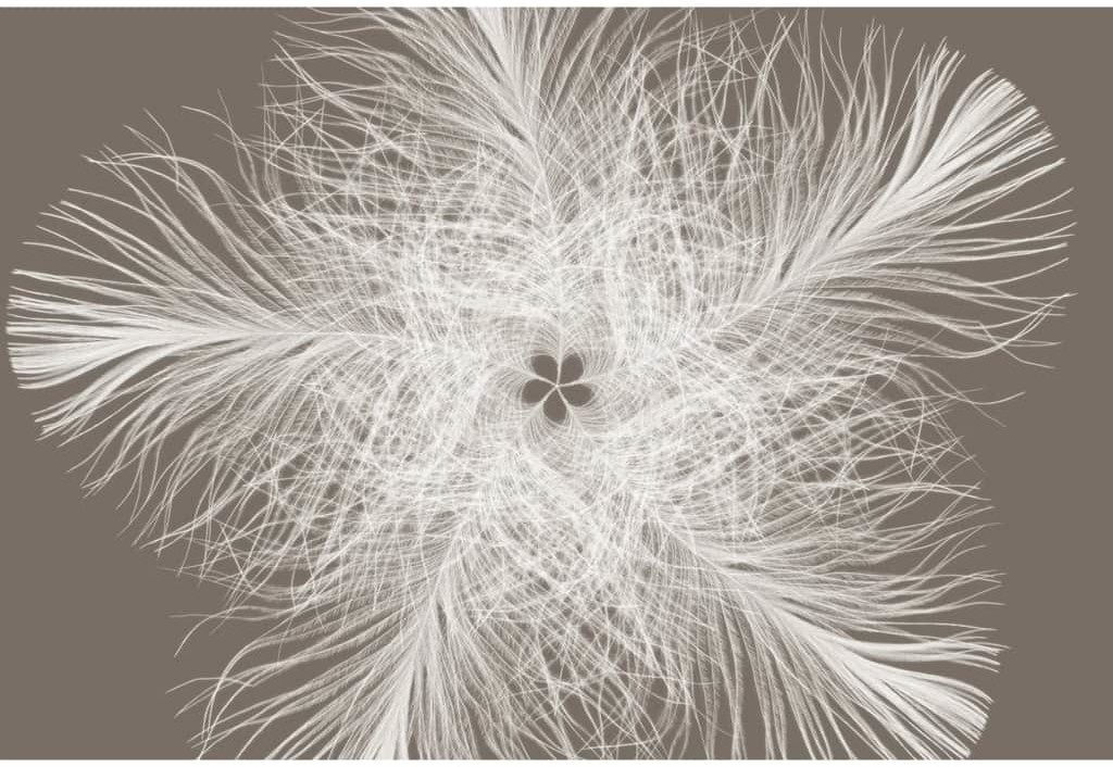 Komar Fototapeta Feather, 368 x 248 cm, XXL4-006 Noordwand