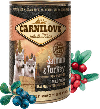 Carnilove mokra karma dla szczeniąt Wild Meat Salmon & Turkey for Puppies 6x 400 g