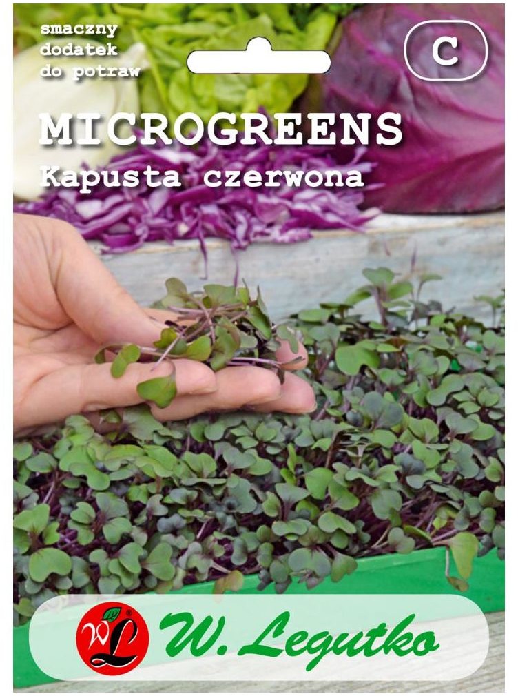 Legutko Kapusta głowiasta czerwona nasiona microgreens BIO