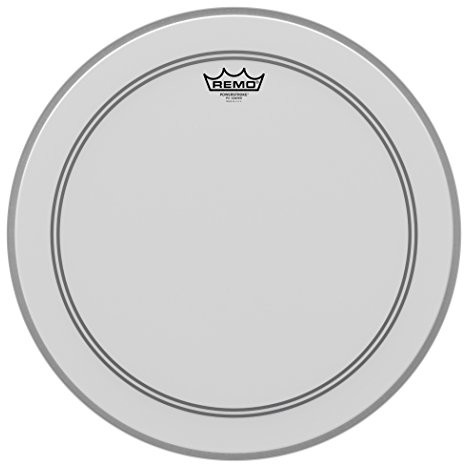 Remo -powerstroke-P3-ototoksyczność P3-118B