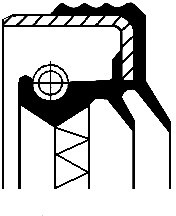 CORTECO Pierżcień uszczelniający wału, różnicowy 01033862B