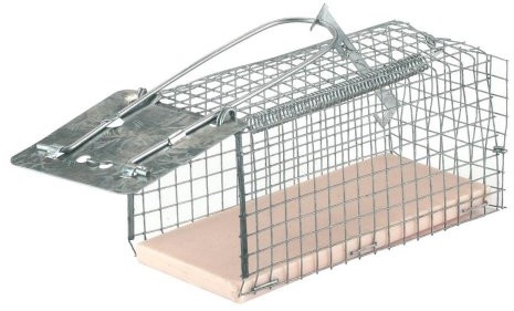 Kerbl KERBL 299618 pułapka na wszystkie klatka Mouse Cage drutu, wejście 1