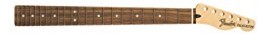 Fender Deluxe Series telecaster promień Neck, 12