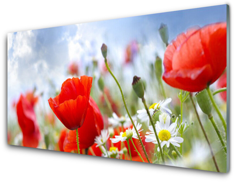 Tulup.pl Panel Szklany Maki Stokrotki Kwiaty 100x50cm