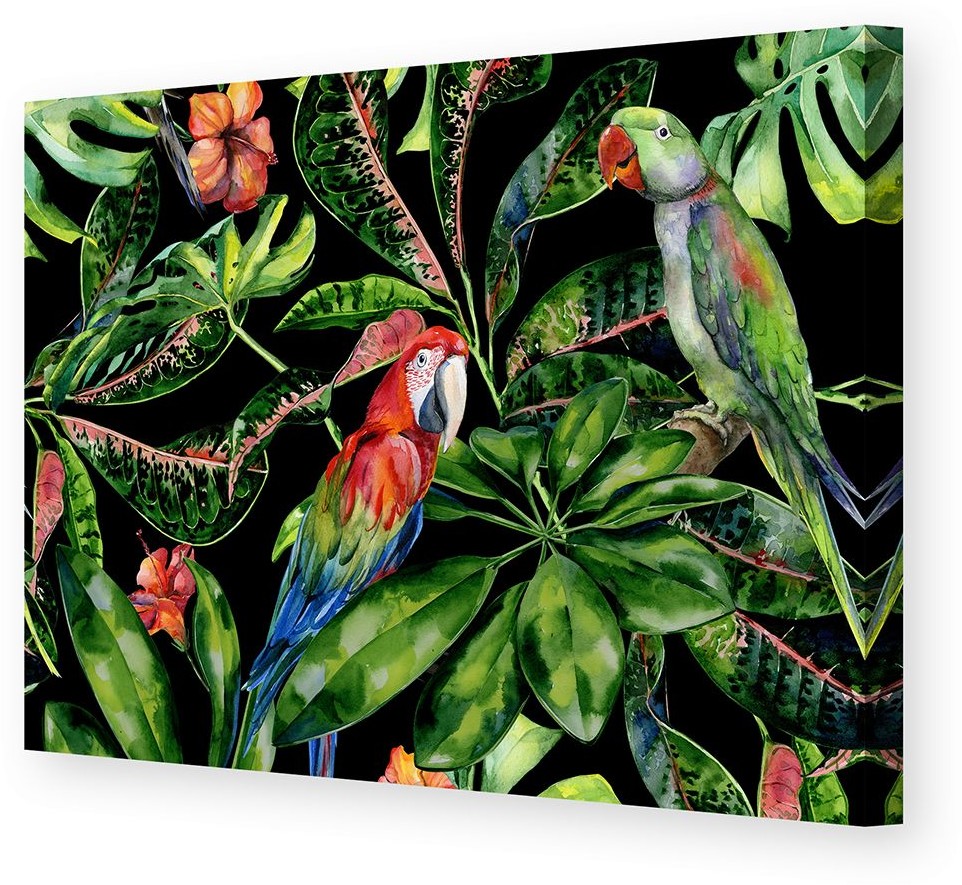 Dekoria Obraz na płótnie Tropical Birds 100 x 70 cm 186-000-15