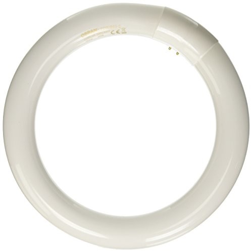 Osram L22 W/865 °C Polarizer świetlówka L22/865 22 W (L22W/865 C)