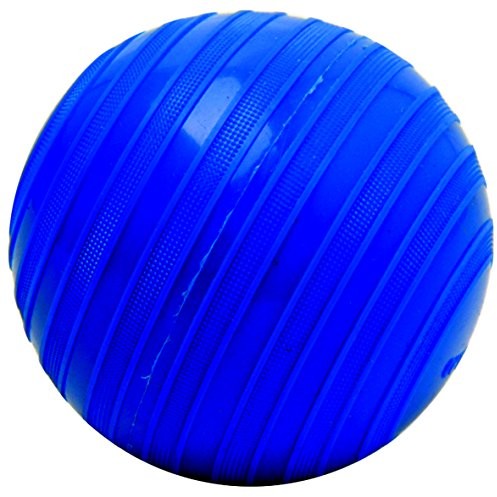 Togu stonie Hantel ball Niebieski 638054
