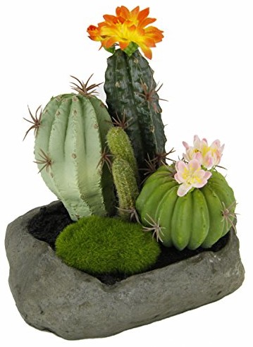 Flair Flower kaktusa w kamieniu, plastik, pomarańczowy, 19 x 15 x 14 cm 088887OR