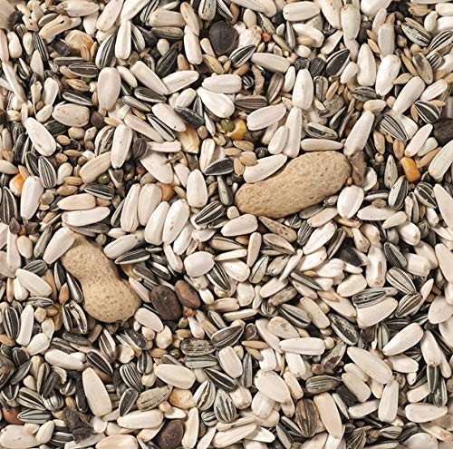 Deli Nature Vogel Deli Nature papugi-worek na bazie pastewna 15 kg