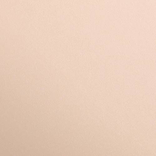 Clairefontaine 97464C karton fotograficzny, 25 arkuszy Premium, DIN A4, 21 x 29,7 cm, 300 g, morelowy 97464