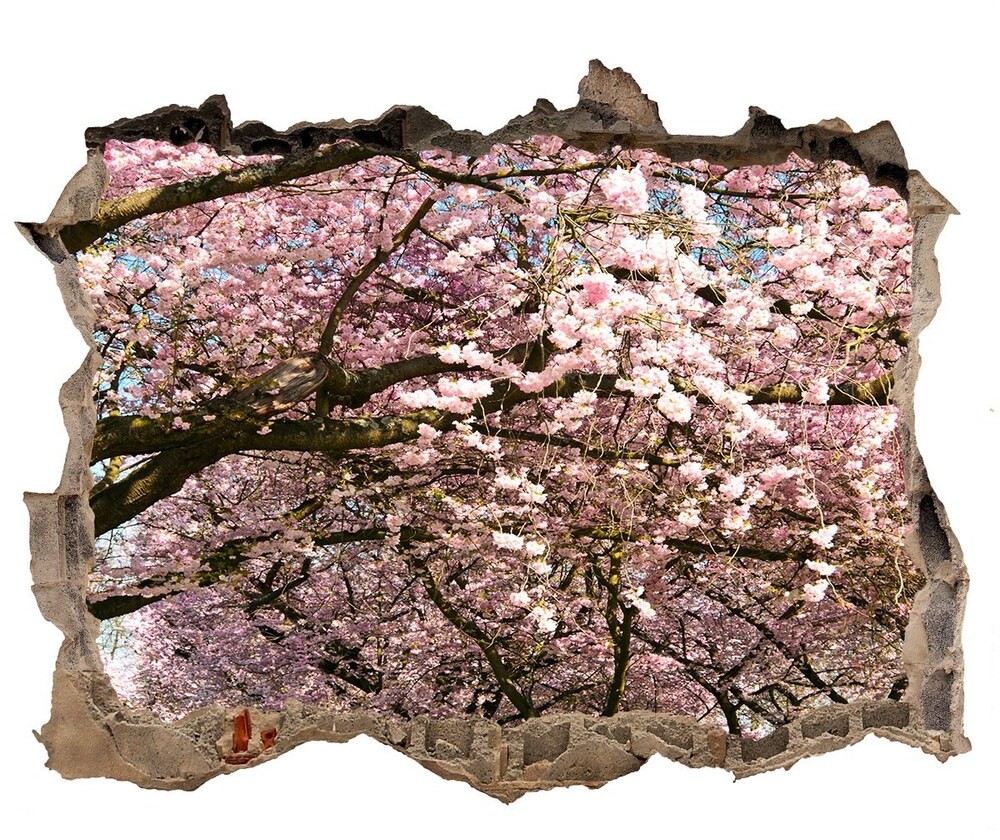 Wallmuralia.pl Samoprzylepna dziura na ścianę Drzewa wiśni