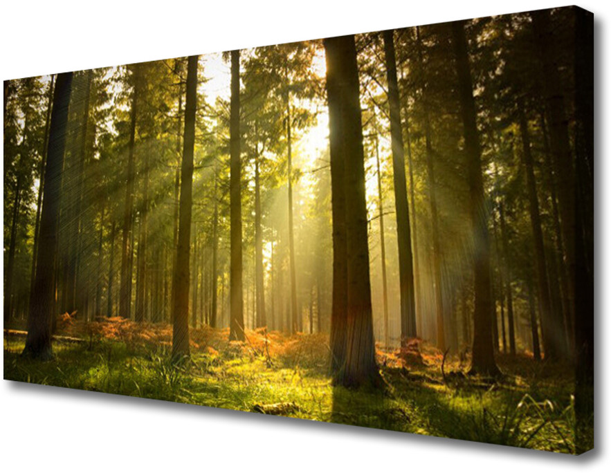PL Tulup Obraz na Płótnie Las Natura Drzewa 140x70cm