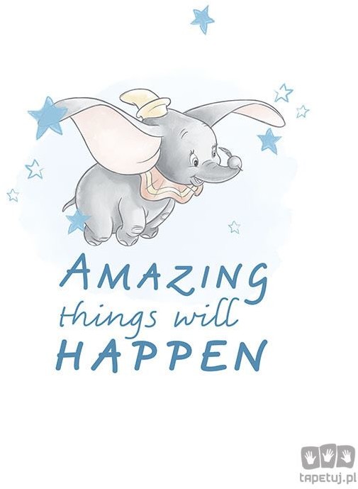 Obraz Komar Dumbo Amazing WB024 WB024