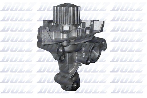 Dolz INDUSTRIAS Pompa wodna INDUSTRIAS C138