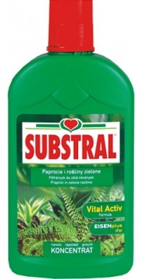 Substral Nawóz do paproci 500ml, marki sub10410