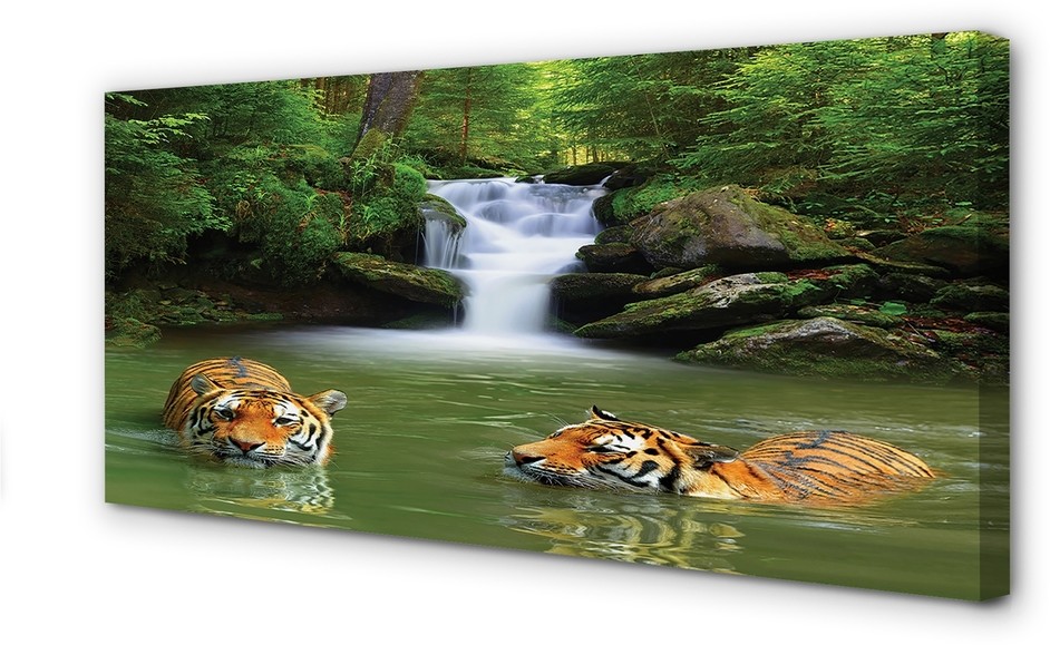 PL Tulup Obrazy na płótnie Wodospad tygrysy 125x50cm