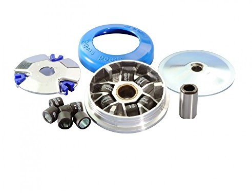 POLINI Variomatik/variator  (zestaw-częściowy) zapewnia Piaggio/Vespa Ciao (Variomatik) 4251212415267