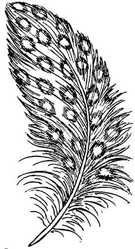 Artemio Artemio PED1515 Stempel, drewno, beżowy, 3,7 x 2,5 x 5,3 cm PED1515