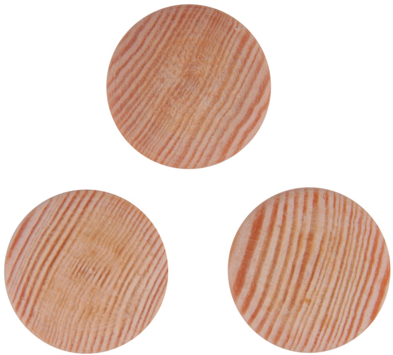 Kornik Kapsle maskujące sosna śr. 20 mm