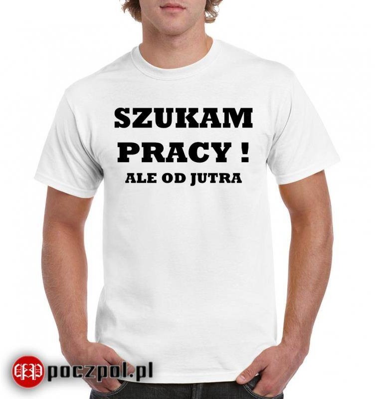 Poczpol Szukam pracy PRZPOC-0-401