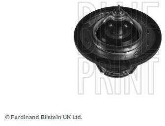 BLUE PRINT Termostat, środek chłodzący ADG09250