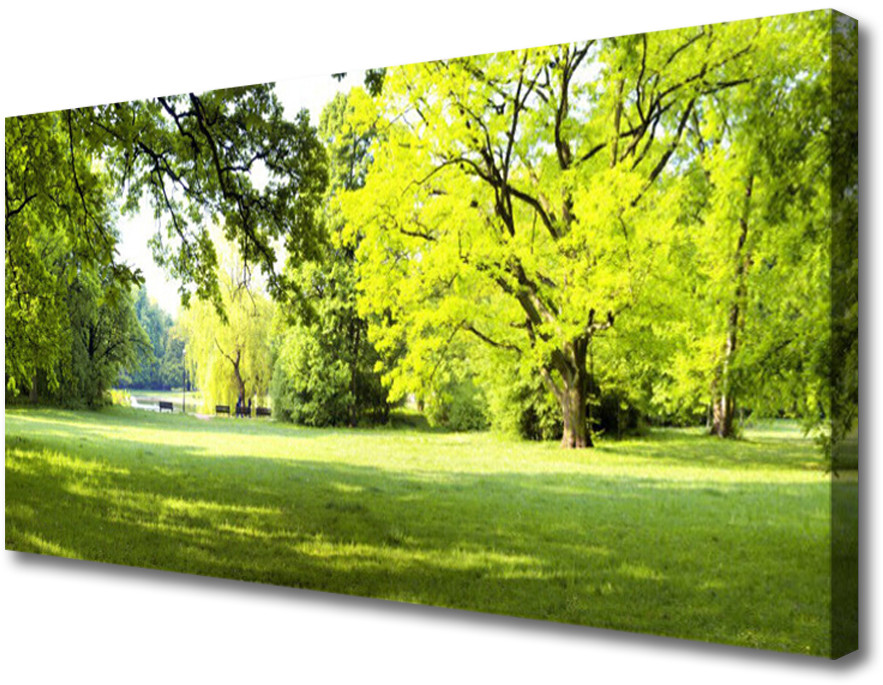 PL Tulup Obraz Canvas Trawa Drzewa Park Przyroda 100x50cm