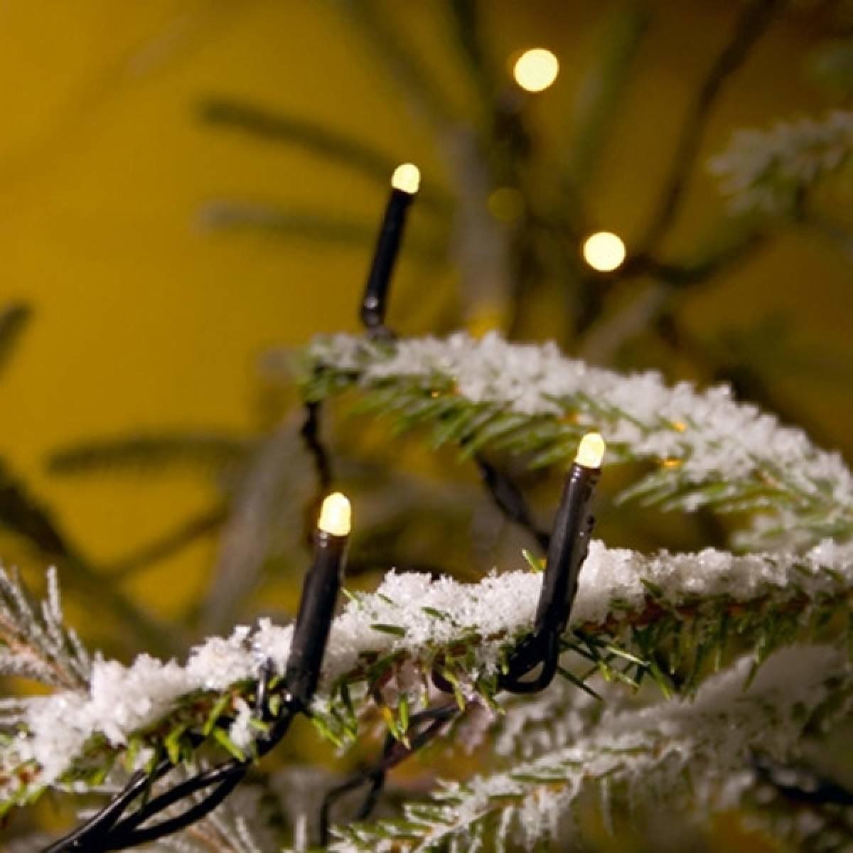 KonstSmide Lampki choinkowe LED 80 sztuk, , zewnętrzne, 24 V 3611-110
