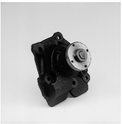 HEPU Pompa wodna P202