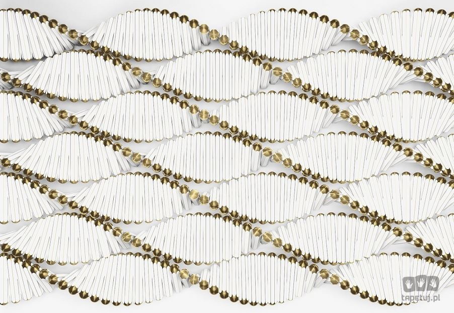 Komar Fototapeta Twist 8-205 8-205