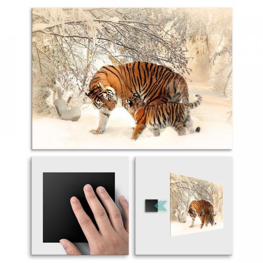 Pix4home Plakat metalowy tygrysia rodzina L POS-L-01792