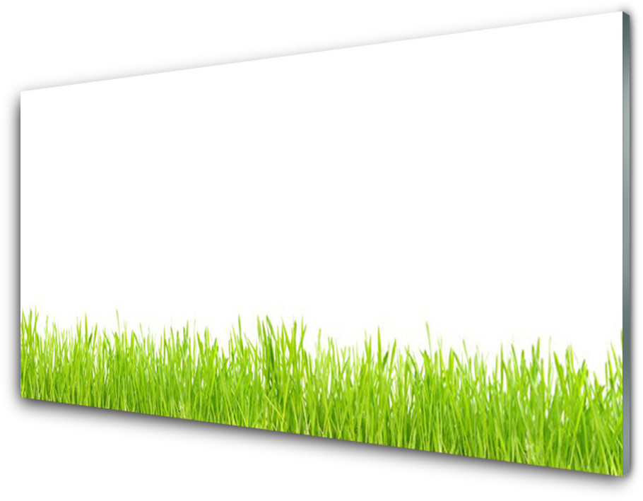 Tulup.pl Panel Szklany Trawa Roślina Przyroda 120x60cm