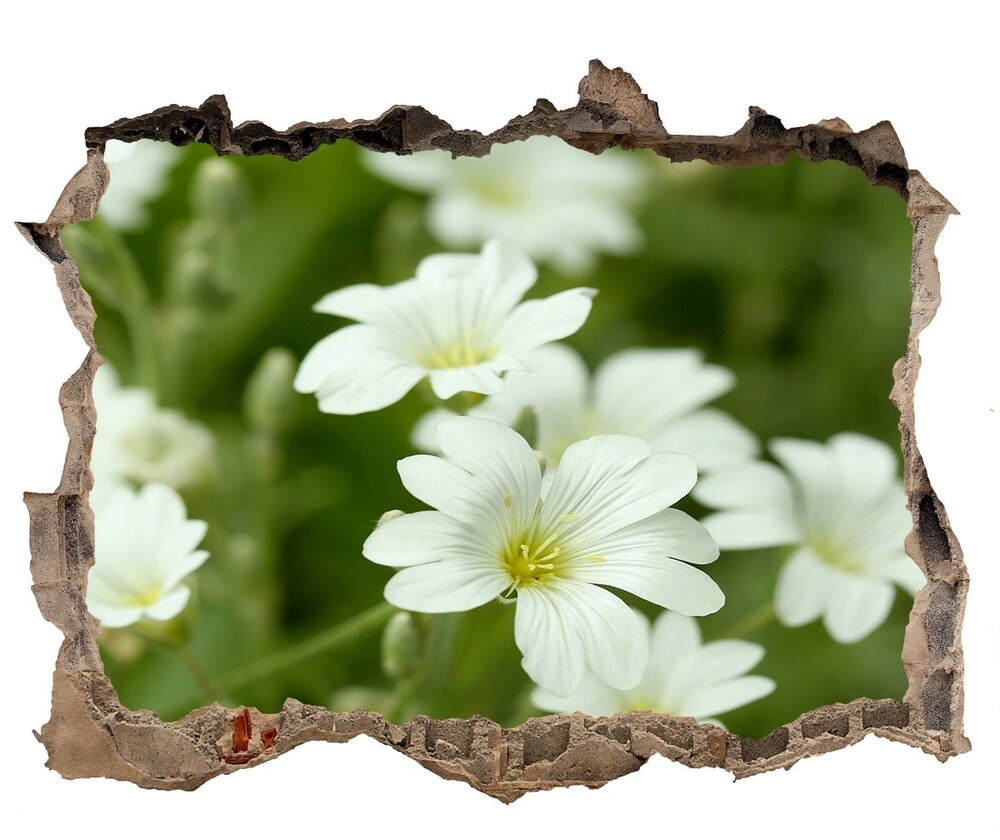 Wallmuralia.pl Samoprzylepna naklejka na ścianę Wiosenne kwiaty
