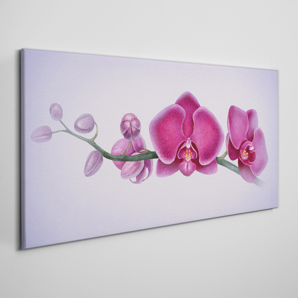 PL Coloray Obraz na Płótnie Akwarela kwiat gałąź orchidea 120x60cm