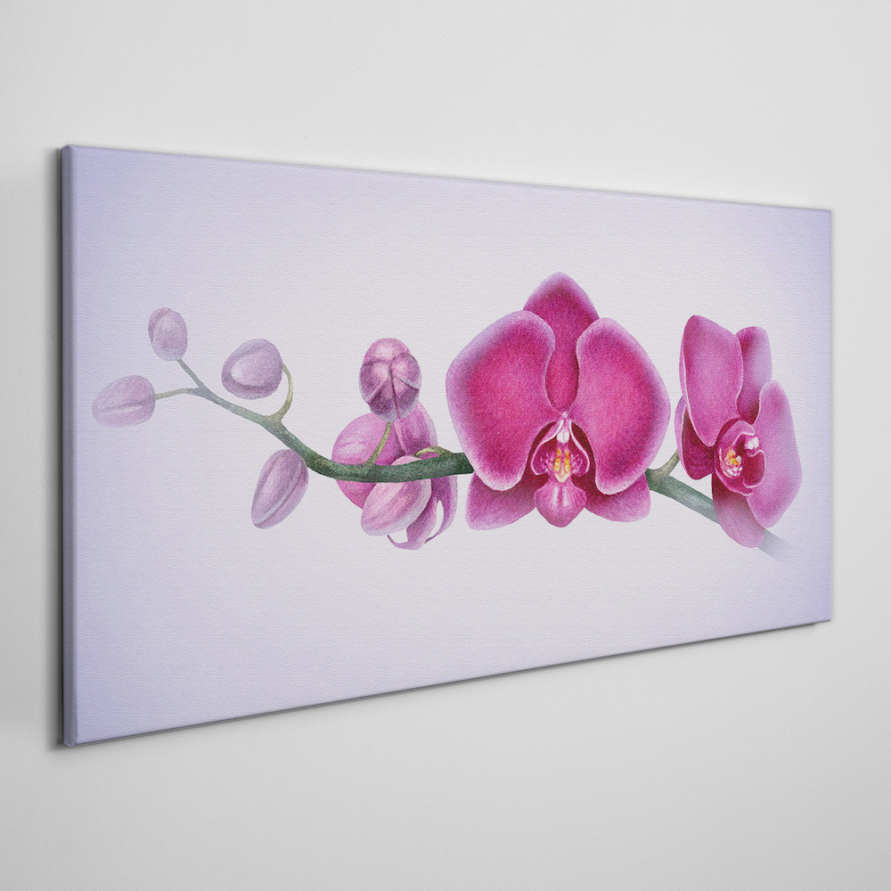 PL Coloray Obraz na Płótnie Akwarela kwiat gałąź orchidea 140x70cm