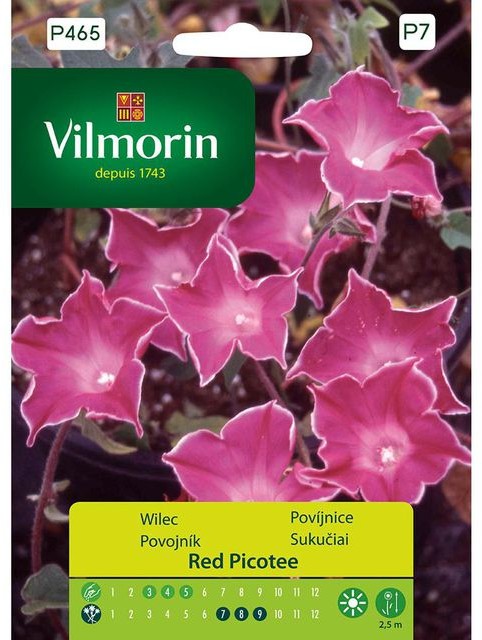 Vilmorin Wilec RED PICOTEE