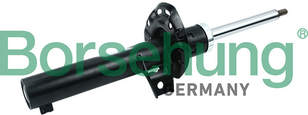BORSEHUNG Amortyzator BORSEHUNG B14716 B14716