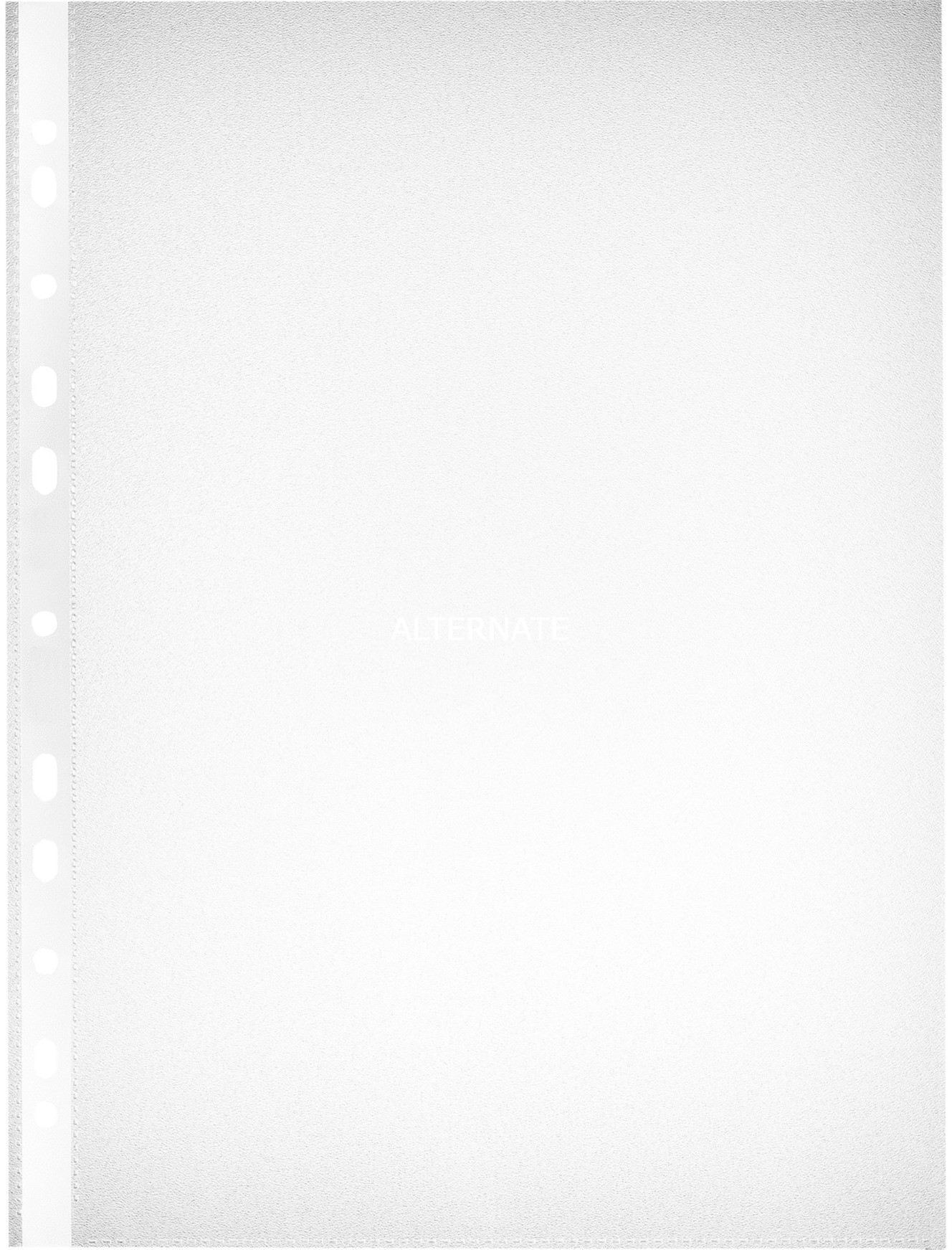 Herlitz 5824008 teczka do dokumentów A4 100 szt., Organizator 4008115824005