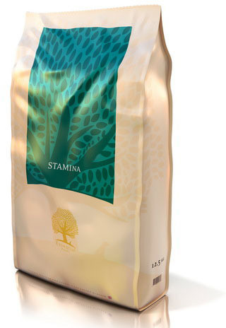Essential Stamina Small Breed 3 kg