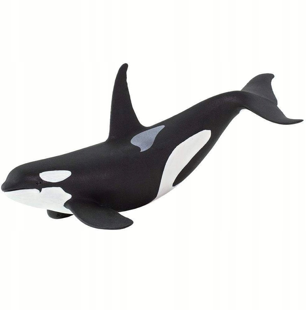 Safari Orka oceaniczna - Ltd. - 100232